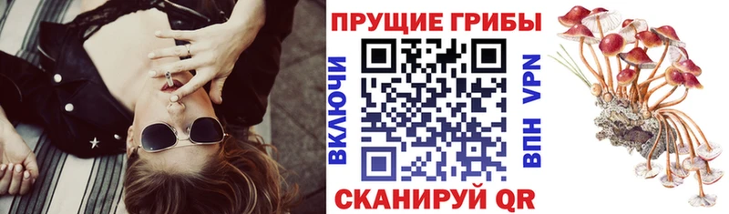 Галлюциногенные грибы мицелий  MEGA tor  Руза 